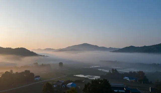 如何有效降低照护成本?日常诊疗如何优化